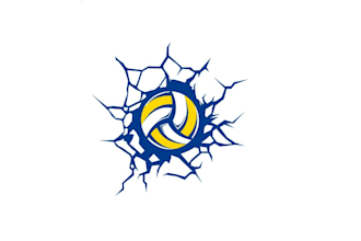 make modern basketball volleyball logo design