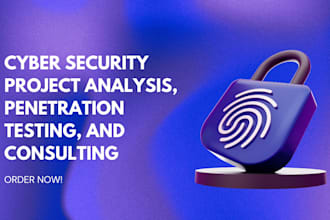 do expert cyber security project analysis, penetration testing, and consulting