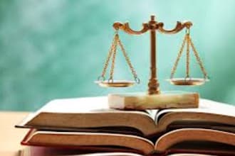 do law, legal research, memo, company law, case study, business law