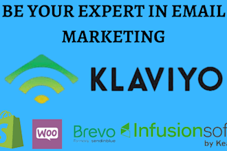manage klaviyo email marketing account, be your expert in email marketing flows