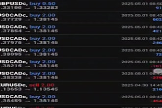 deliver you a profitable forex trading robot, gold ea, forex trading bot, ea bot