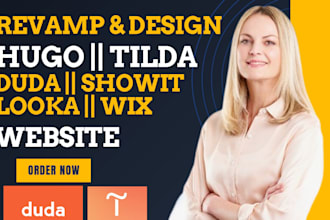 design revamp or clone hugo duda tilda  unbounce site123 looka showit website