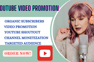 shoutout youtube channel to 5m usa, link share, twitter, fb, ig promotion