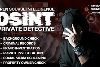 do background check, due diligence osint detective, private investigator in USA