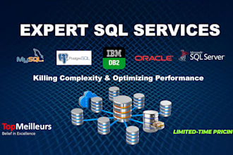 provide sql queries, scripts, design database model, troubleshooting