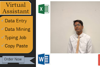 do copy paste, data entry, and file conversions