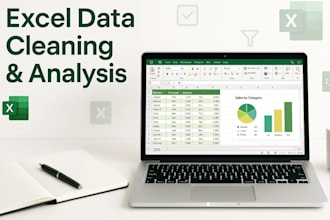 excel data cleaning, spreadsheet formatting service, spreadsheet analysis