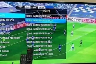 provide high quality iptv with nordic and other channels
