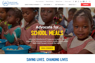 design a professional nonprofit website using wordpress or wix