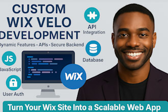 build advanced wix velo web app with custom code apis and database integration