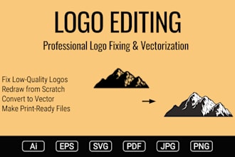 fix, edit, recolor, redraw and improve your logo or image