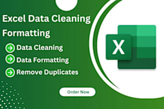 be your excel expert for excel data cleaning