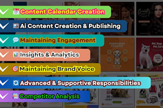 handle your social media with strategy and content creating