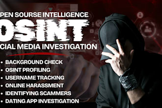 do background check for US citizens, social media investigation, osint detective