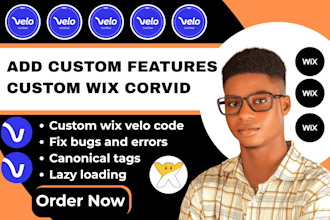 custom wix code wix velo code wix studio velo code wix database wix velo website
