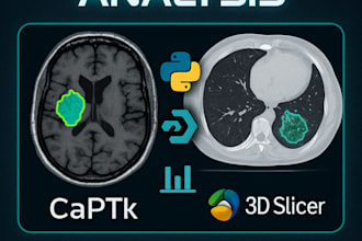 analyse ct and mri data for tumor detection