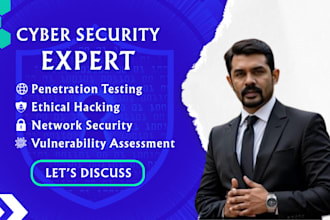 perform expert penetration testing and security audit