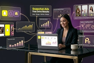 be your snapchat ads manager, run and manage your snapchat ads campaign