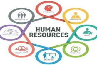 provide best HR consulting services