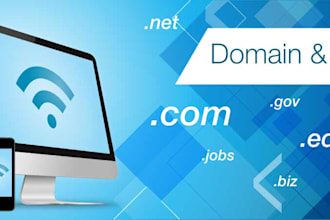 setup and manage your domain and hosting professionally