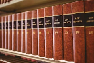 draft a legal case tailored according to your needs