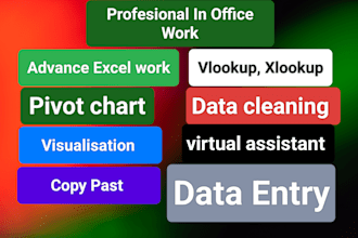 do excel data entry, pivot table , visualisation,copy past