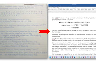 do fast typing documents,english typing and file conversion