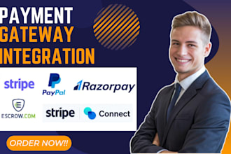 integrate paypal stripe wise and square, shopify payment gateway in your website