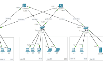 do your networking assignments and ccna labs