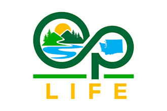 do professional and specially super mountain logo design