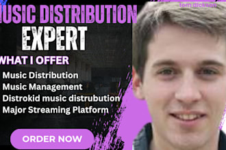 be press release music manager, fix issue, distribute your music using distrokid