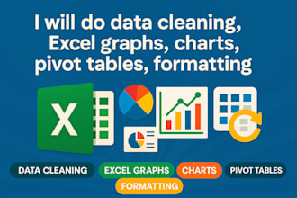 do data cleaning, excel graphs, charts, pivot tables, formatting