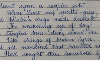 write anything for you in my beautiful handwriting assigment and study notes