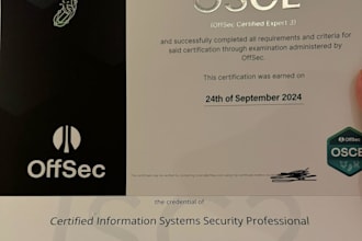 perform a penetration test