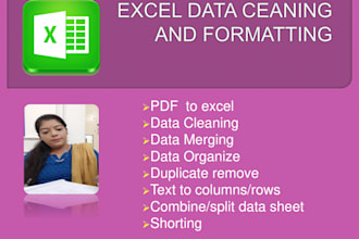 convert PDF to excel, clean, format,merge excel data