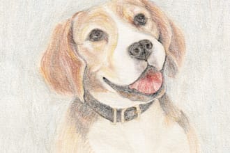 create a pet portrait drawing in colored pencils