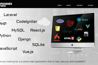 develop professional PHP, laravel, or django web applications
