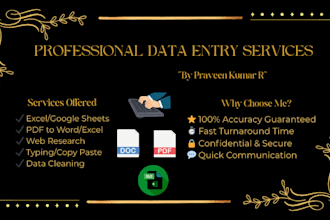 do fast data entry typing  job, excel data entry  and PDF to word converting job