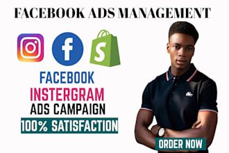 do facebook instagram ads camapign marketing advertising and fb ads management