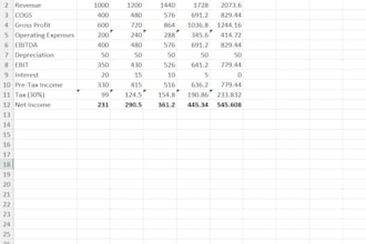build a professional excel financial model or dashboard for your business