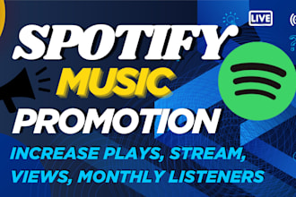 do spotify music promotion, spotify ads campaign to increase your music streams