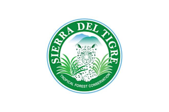 design best quality rain forest conservation logo