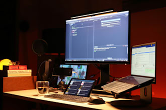 provide expert remote IT support for your business setup
