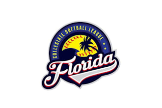 design excellent premier college softball league logo