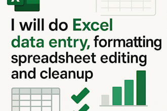 do excel data entry, formatting, spreadsheet editing and cleanup