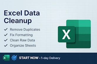 provide professional excel data cleanup and formatting service