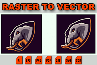 convert your logo, image or sketch into a clean vector format