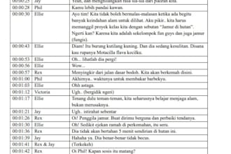 do accurate transcription and subtitle your audios or videos profesionally