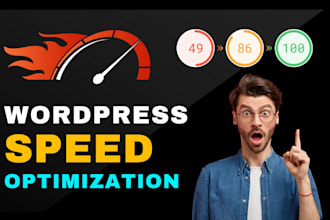 do wordpress speed optimization for google pagespeed insights