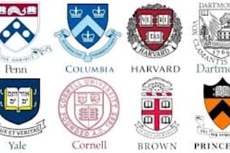 provide college advising for undergraduate applicants